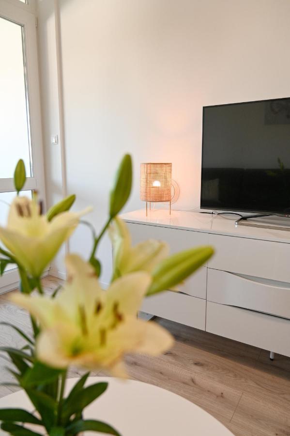Apartman Armando Zadar Eksteriør billede