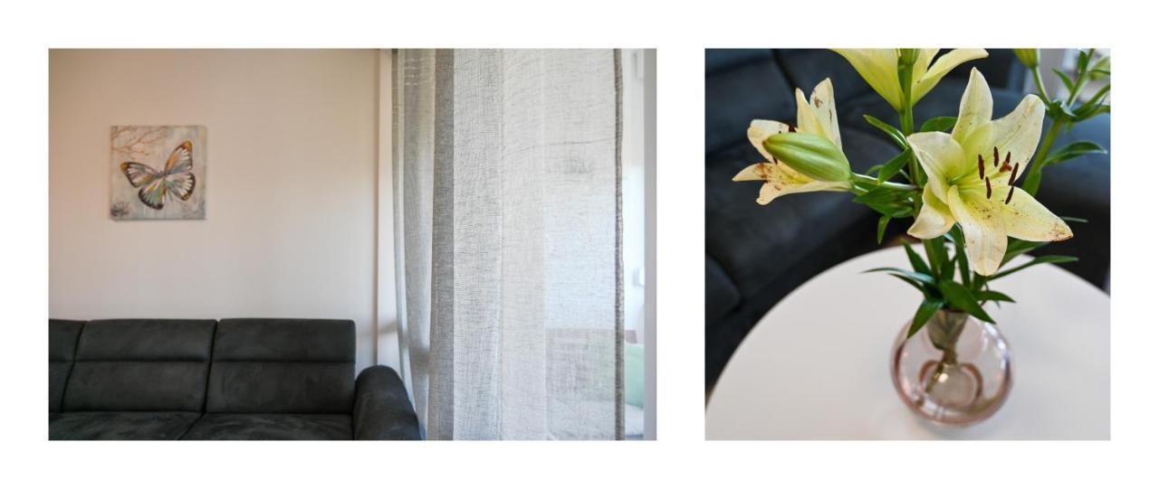 Apartman Armando Zadar Eksteriør billede